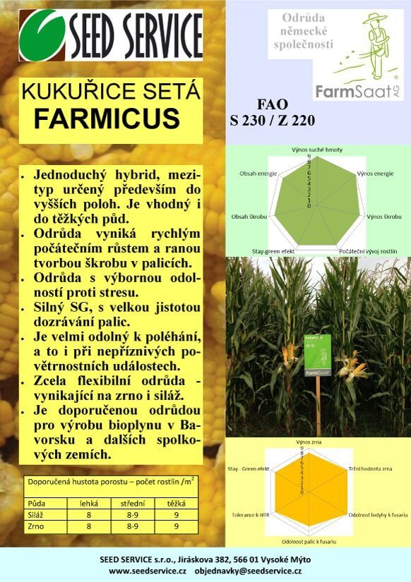 kukurice-seta-seedserivce-Farmicus