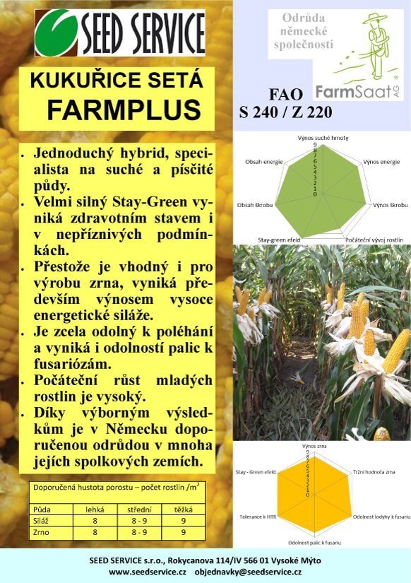 kukurice-seta-seedserivce-Farmplus