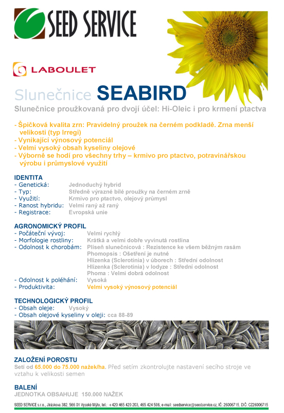 Popis slunečnice odrůda Seabird