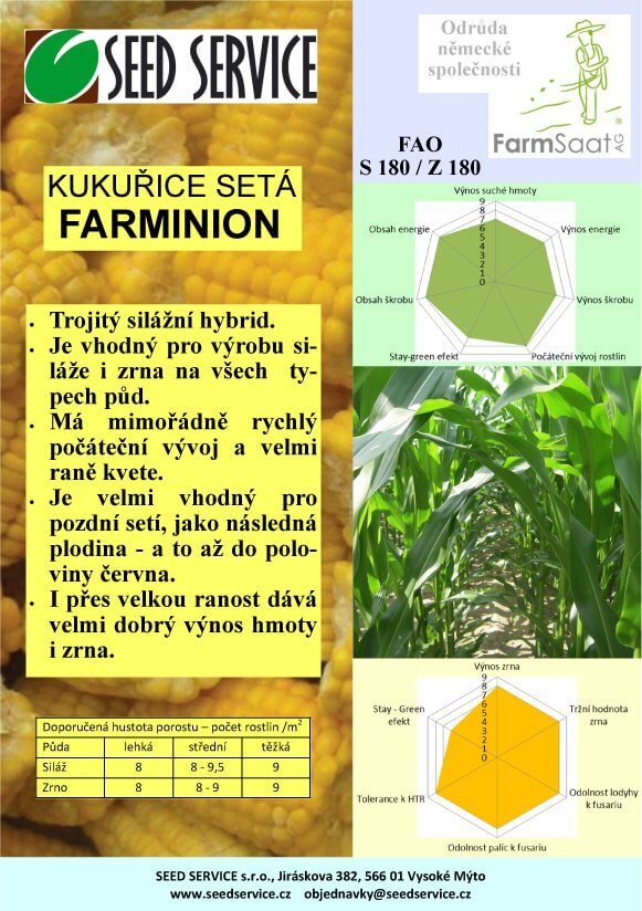 kukurice-seta-seedserivce-Farminion